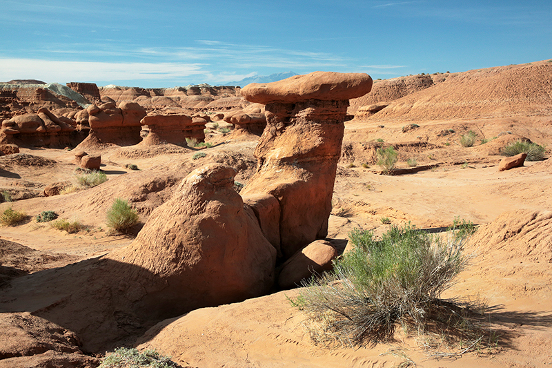 Bison : Antelope Island : Utah : Landscape Photos : Richard Moore : Photographer